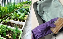 Bị chê keo kiệt suốt nhiều năm, lối sống của thế hệ cũ nay trở thành cái phao cứu giới trẻ