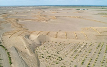 Phát minh chưa từng có trên thế giới của Trung Quốc: Không cần trồng cây vẫn phục hồi hàng nghìn hecta sa mạc, hiệu quả cao nhưng chi phí thấp