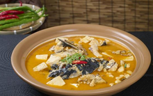 WHO cảnh báo hãy NGỪNG NGAY việc ăn nhiều 4 loại cá này