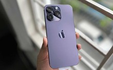 5 chiếc iPhone cũ đáng "chốt đơn" nhất đầu năm 2026