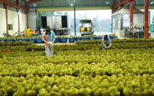 Thái Lan đón tin không vui