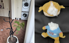 Buông bỏ là thượng sách: Tôi da diết khuyên bạn thẳng tay vứt 8 món "rác nhà" này