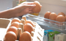 Để trứng trong hay ngoài tủ lạnh tốt hơn? Câu trả lời không đơn giản như nhiều người nghĩ