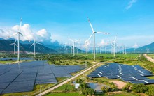 Trung Nam báo tin vui