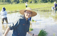 Phát minh của Trung Quốc làm rung chuyển ngành nông nghiệp, tạo ra giống có thể nhân đôi sản lượng lúa toàn cầu, tiết kiệm đến 99% chi phí tạo giống