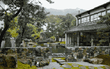 300m² đất thuê, 30 năm chỉ trồng 2 loại cây: Một bài toán “giữ tiền” ngược đời của đôi vợ chồng trung niên