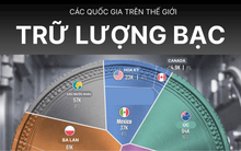 Giá bạc 'lên đồng', ai đang nắm trong tay kho bạc lớn nhất hành tinh?