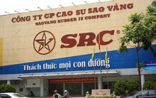 Động thái mới tại khu "Cao Xà Lá": Hơn 6,2ha 'đất vàng'  thành biệt thự, chung cư cao tầng