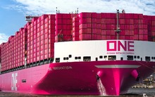 Động thái lạ của "gã khổng lồ" tàu biển ONE: Rót vốn lập công ty tại TP.HCM nhưng không làm vận tải
