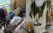 Người giàu không bao giờ đặt 5 thứ này ở ban công, người nghèo lại vô tư chất đống