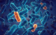 Bệnh viện Hiệp hội Y khoa Trung Quốc cảnh báo về "đại dịch" nghiêm trọng gây nên “thảm họa” cho nhân loại