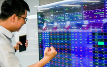 Góc nhìn chuyên gia: Xuất hiện tín hiệu tạo đáy ở hai nhóm cổ phiếu, dòng tiền lớn có thể trở lại sau kỳ nghỉ Tết Nguyên đán