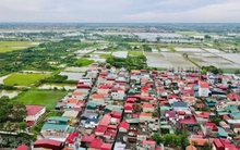 Đất đấu giá xã ngoại thành Hà Nội trúng cao nhất hơn 164 triệu đồng/m2