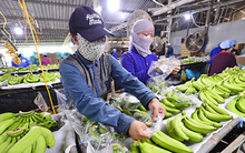 Tạm dừng Nghị định 46, doanh nghiệp vẫn chưa hết lo