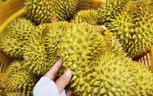 Quy định mới về xuất khẩu nông sản vào Trung Quốc