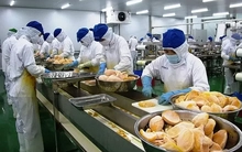 Gần 2.600 mặt hàng nông sản Việt xuất Trung Quốc phải có 'thư xác nhận'