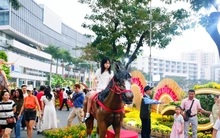 Khám phá đường hoa 'khu nhà giàu' ở TPHCM