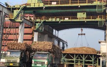 Hai doanh nghiệp bị UBCKNN xử phạt vì không công bố thông tin