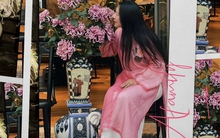 Loài hoa mang "ngạo khí" được giới sành chơi kín tiếng săn lùng mỗi khi Tết về