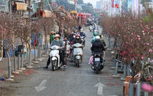 Dự báo thời tiết 13/2: Miền Bắc tăng nhiệt trước khi đón nắng kéo dài đến 29 Tết