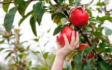 VDSC chỉ ra những 'món hàng' tốt dựa trên tín hiệu sớm từ huy động vốn của các ngành