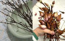 Cái kết "tàn canh gió lạnh" của dân chơi mộc lan Tết