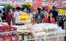 Tạm dừng Nghị định 46: Nghi cơ ách tắc trở lại nếu không giải quyết căn cơ