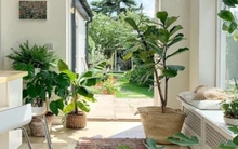 3 dấu hiệu chứng tỏ ngôi nhà của bạn đang có phúc khí, càng ở càng có lộc, đừng dại bán đi