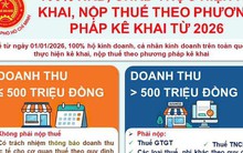 Thuế TP.HCM gửi thông báo mới, hộ kinh doanh và cá nhân kinh doanh cần làm ngay
