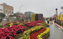 Hà Nội sẽ có thêm đường hoa đúng Tết năm nay: Lần đầu diễn ra tại Di sản UNESCO