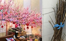 Miền Bắc lúc này: Đào chưa kịp Tết đã bung hết hoa, cả cõi mạng xin nhau tips “hoãn lại cái sự xinh đẹp ấy”