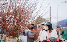 Miền Bắc nắng ấm trước khi chuyển mưa rét