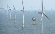 Rà soát 167 dự án năng lượng tái tạo hưởng giá FIT, Bộ Công Thương yêu cầu xử lý vướng mắc