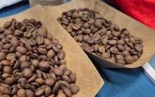 Giá cà phê hôm nay 14-2: Chốt tuần tăng tiếp