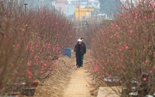 Dự báo thời tiết ngày 27 Tết: Người dân cần chú ý điều gì?