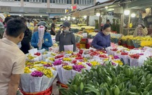 Hoa Tết ùn ùn đổ về chợ đầu mối, hoa hồng Valentine ế nhệ