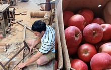 Mừng cưới anh họ 210 triệu đồng, tôi chỉ nhận lại một thùng táo: 3 năm sau, khi mẹ nhập viện, tôi mới hiểu tất cả