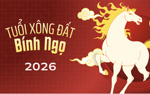 Tuổi hợp xông đất 2026: Bảng tra cứu chi tiết cho 12 con giáp