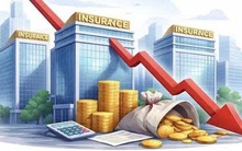 Bức tranh lợi nhuận của các doanh nghiệp ngành bảo hiểm trong năm 2025
