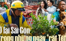 Ở lại Sài Gòn trong những ngày “rất Tết”