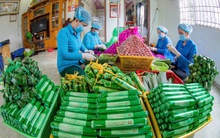 “Vương quốc” nem Lai Vung chạy đua với Tết