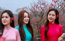 Thiếu nữ xúng xính áo dài, check-in vườn đào Nhật Tân