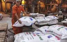 Các doanh nghiệp ngành phân bón, hóa chất làm ăn ra sao trong năm 2025