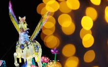 Cả châu Á rộn ràng đón Tết Bính Ngọ 2026 gần kề: Không khí khắp nơi đã rộn ràng lắm rồi!