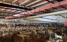 Chuyện chưa kể của các doanh nghiệp bảo hiểm giữa tâm bão năm Ất Tỵ 2025