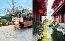 Nam nghệ sĩ đón Tết ở cơ ngơi 10.000 m2, đẹp như khu nghỉ dưỡng, hoa phủ kín nhà