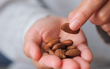 Loại hạt quen thuộc mỗi dịp Tết của người Việt, nay được khoa học coi là “siêu thực phẩm” bảo vệ não bộ, tim mạch