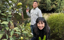 Nữ NSND tuổi ngựa cưới tài tử điện ảnh lừng lẫy, sở hữu biệt thự hoành tráng giữa trung tâm TP. Hồ Chí Minh