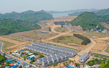 Doanh nghiệp bất động sản tất bật M&A trong năm 2025