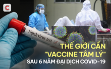 Nipah và câu hỏi chưa có lời đáp sau 6 năm đại dịch Covid-19: Nhân loại đã trưởng thành hơn sau đại dịch, hay chỉ cảnh giác hơn?